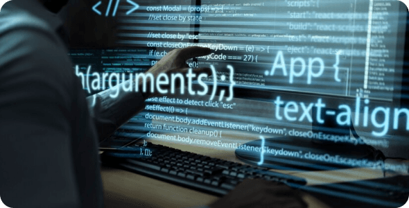 Custom Application Development